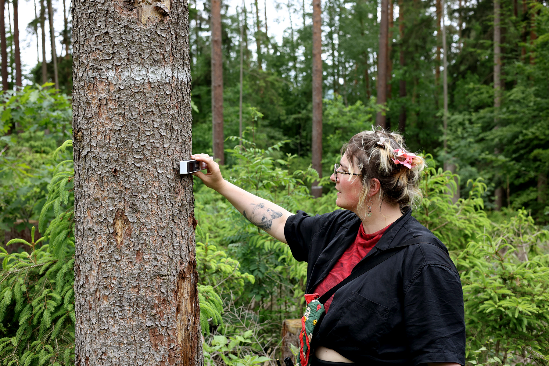 christian doeller forest reset forester